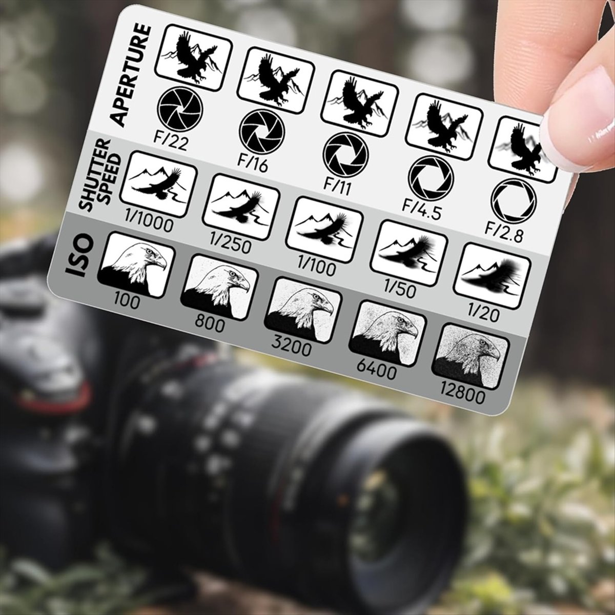 L77A 2 pièces, viseur de compo - Photography Triangle avis et prix